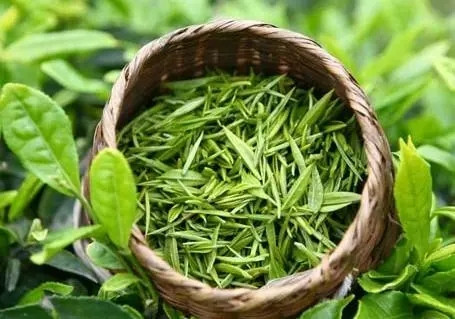 台湾茶韵跨海而来！台湾茶工艺精品馆6月20-23日在青岛市茶文化节邀您共赏茶艺美学盛宴！